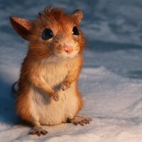 El chico que salvó la Navidad