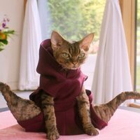 La casa de muñecas de Gabby: La película