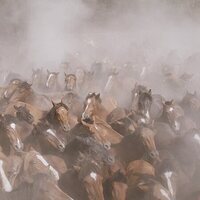 El rugir de las llamas