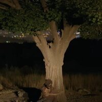 Foto de 'It Was Just an Accident'