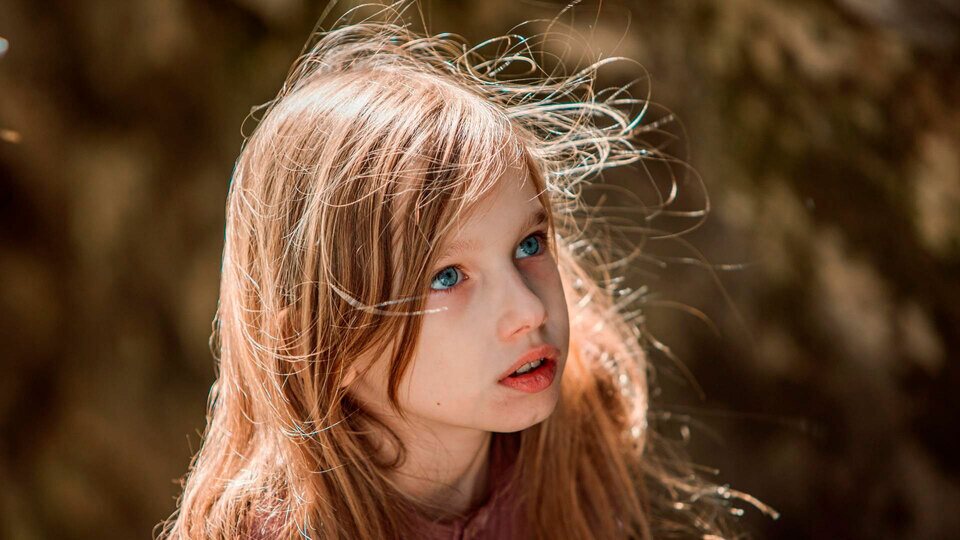 The Wizard of the Emerald City