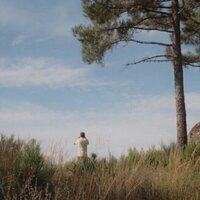 La sabana y la montaña