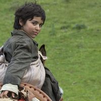 Foto de 'Among Wolves'