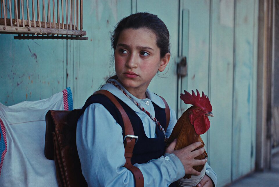 The President's Cake