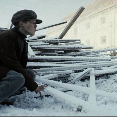 Avenue of the Giants