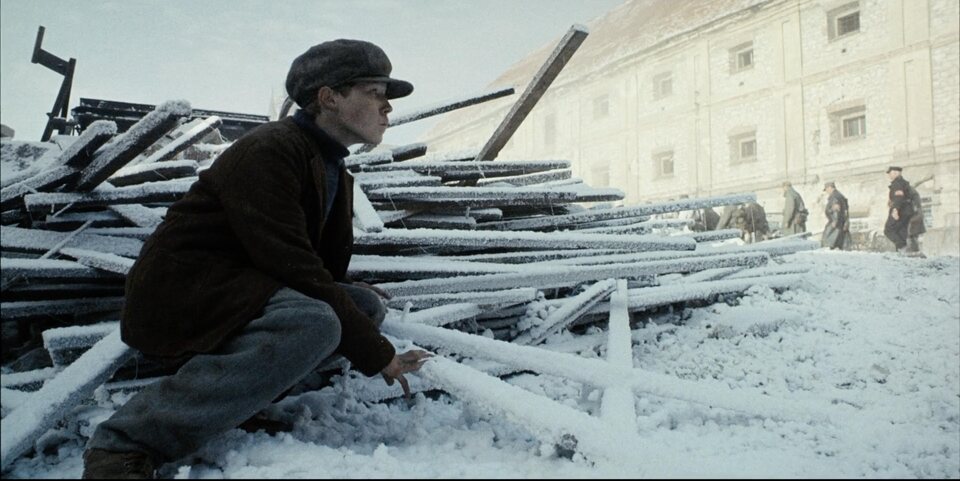 Avenue of the Giants