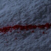 Kill Bill: The Whole Bloody Affair