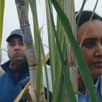 Historias del buen valle