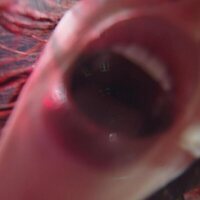 Billie Eilish: Hit Me Hard and Soft - The Tour (Live in 3D)