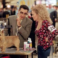 Very Important Perros