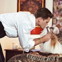 Very Important Perros