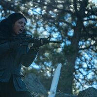 Línea de extinción