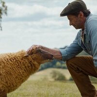 Las ovejas detectives