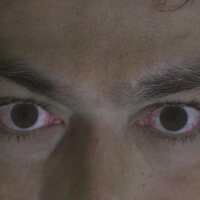 Tóxico: Un cuento de hadas para adultos