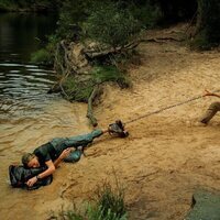 Depredador dominante