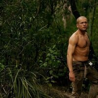 Depredador dominante