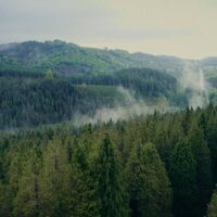 La casa en el árbol