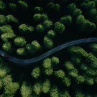 La casa en el árbol