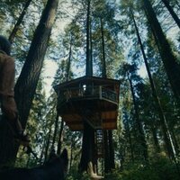 La casa en el árbol