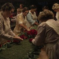 Kentucky Roses