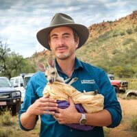Kangaroo: Una aventura en Australia