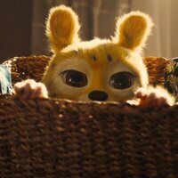 Marsupilami