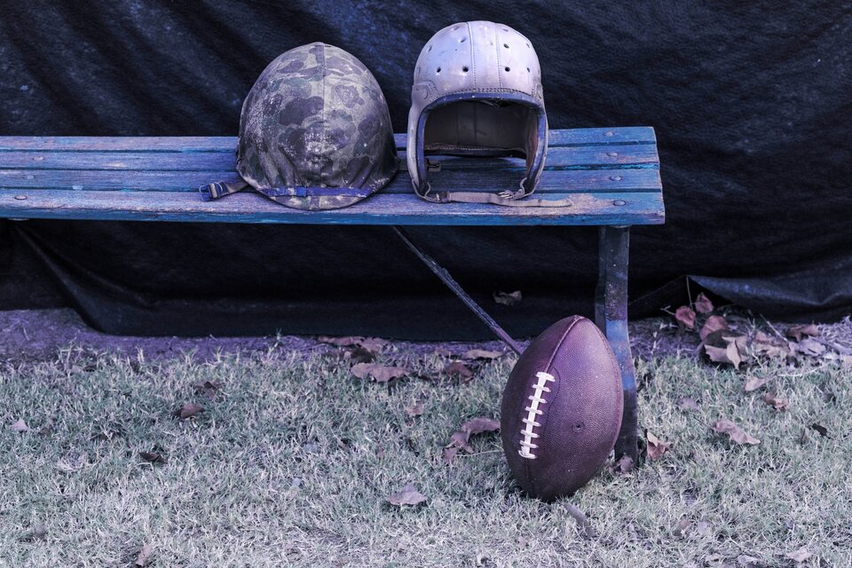 The Mosquito Bowl