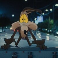 Coyote contra Acme