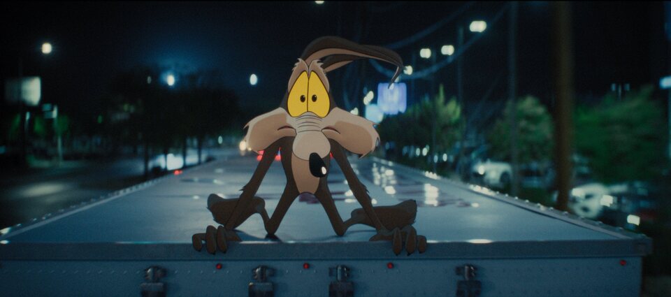 Coyote vs. Acme