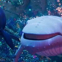 La leyenda de la ballena cantora