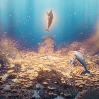 La leyenda de la ballena cantora