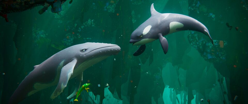 The Last Whale Singer