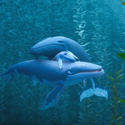 The Last Whale Singer