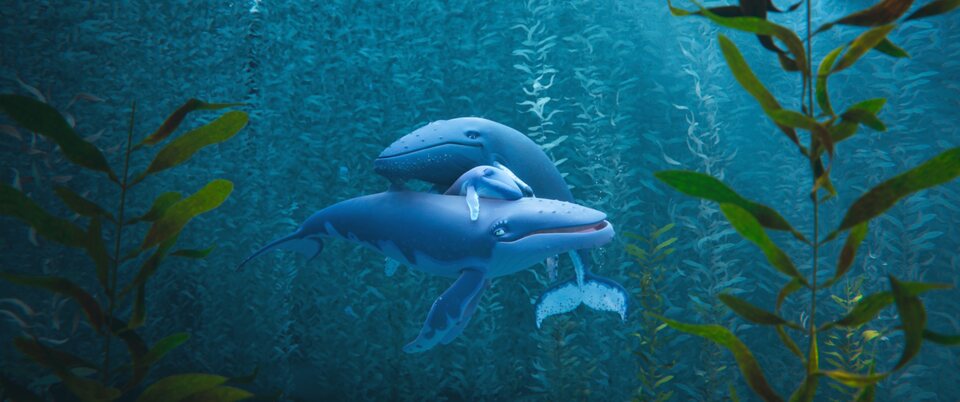 The Last Whale Singer