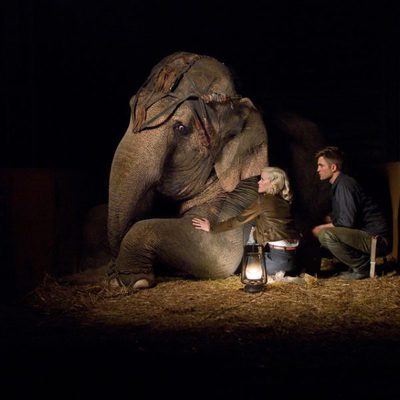 Water for Elephants