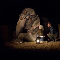 Foto de 'Water for Elephants'