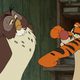 Imagen de la película Winnie the Pooh
