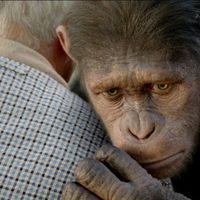 Foto de 'Rise of the Planet of the Apes'