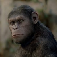Foto de 'Rise of the Planet of the Apes'