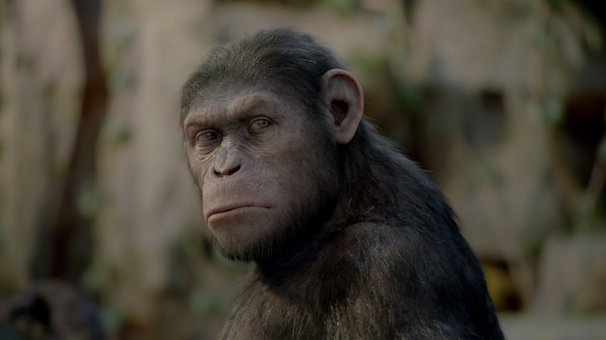 Imagen de la película Rise of the Planet of the Apes