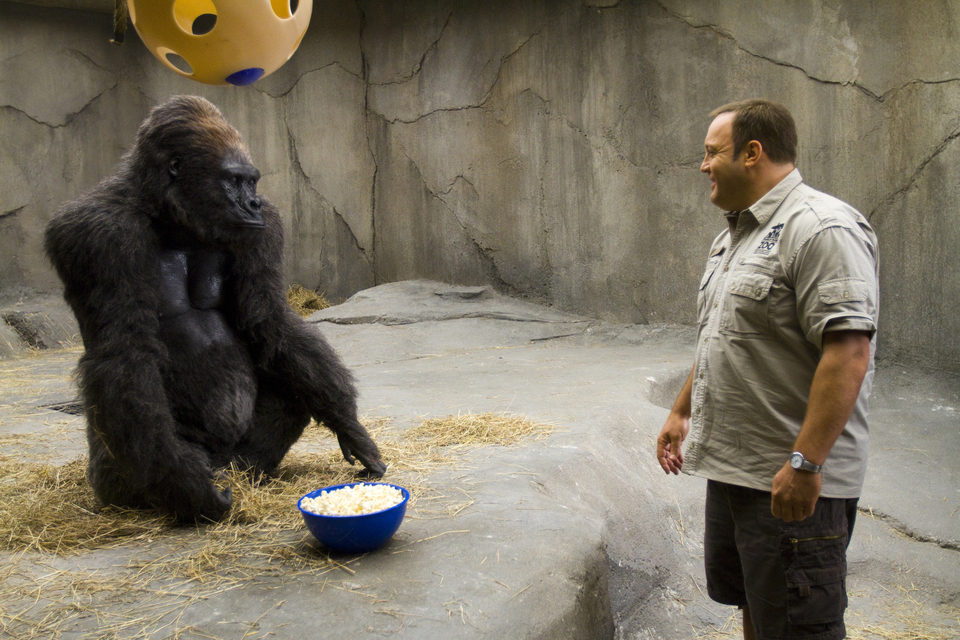 Imagen de la película Zookeeper