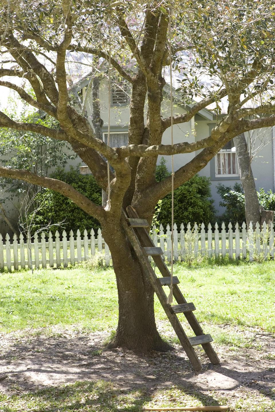 Imagen de la película The Tree of Life