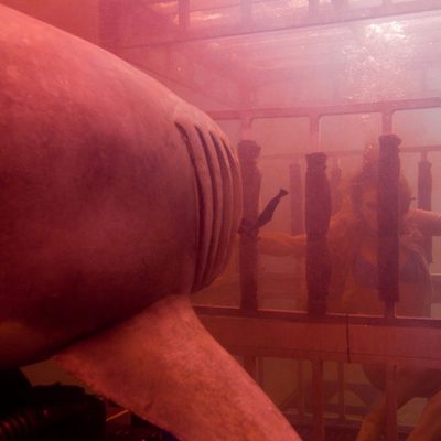 Shark Night 3D