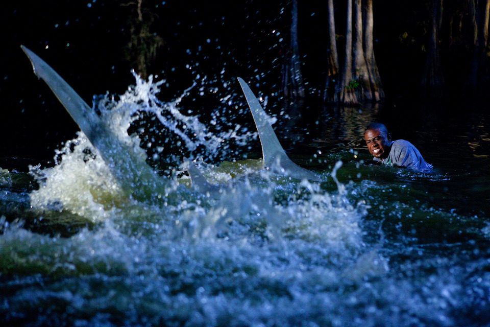 Shark Night 3D