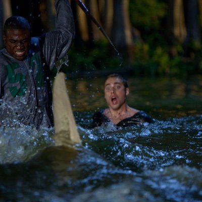 Shark Night 3D