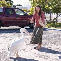 Foto de 'Dolphin Tale'