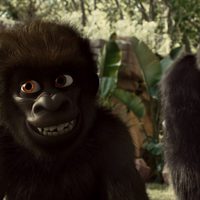 Foto de 'Snowflake, the White Gorilla'