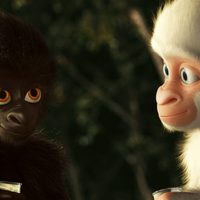 Foto de 'Snowflake, the White Gorilla'