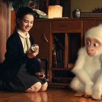 Foto de 'Snowflake, the White Gorilla'