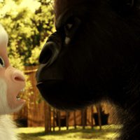 Foto de 'Snowflake, the White Gorilla'